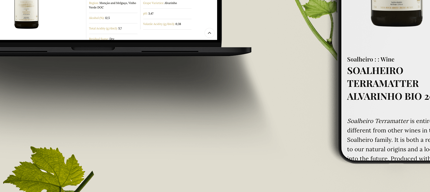 screen do website