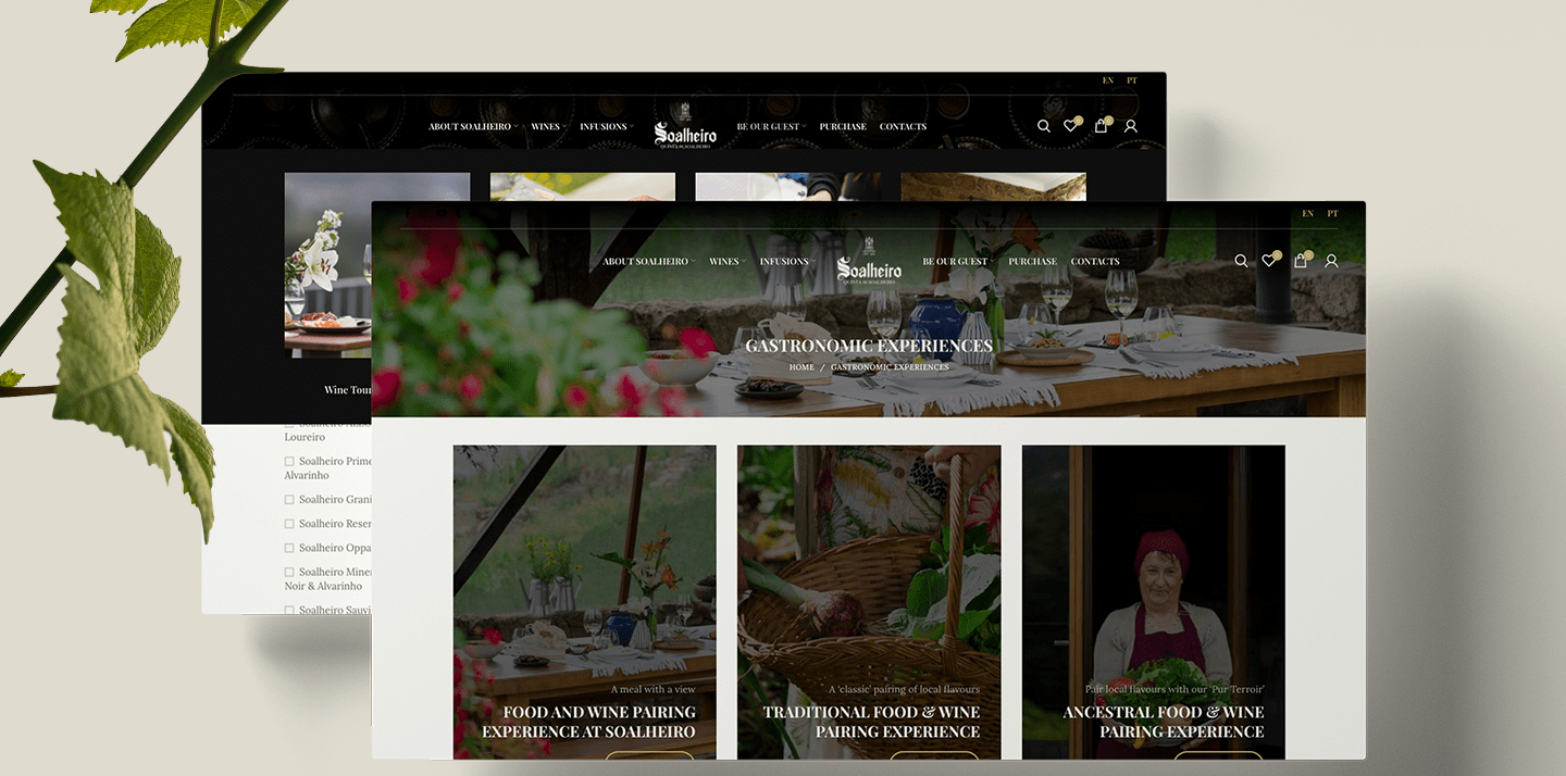 screen do website