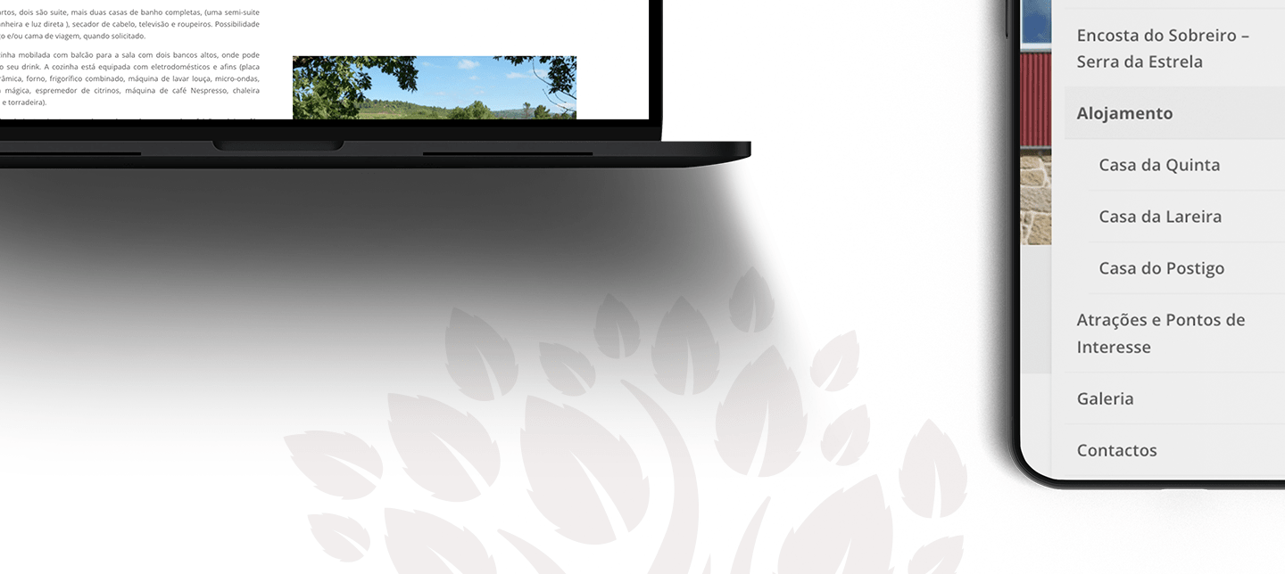 screen de website